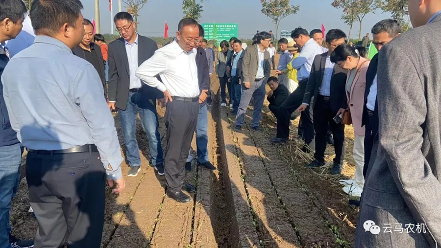 1718612054593474.jpg 4.jpg