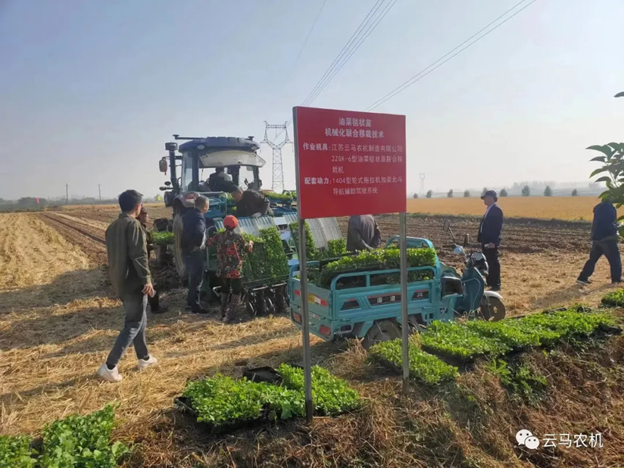 1718612077644316.jpg 6.jpg