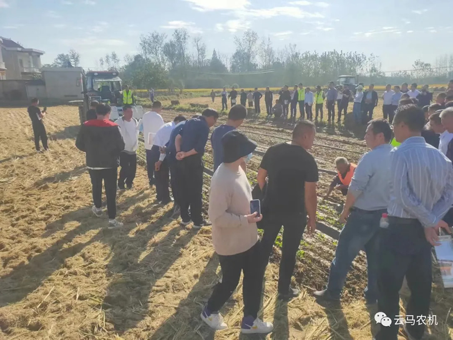 1718612131816118.jpg 12.jpg