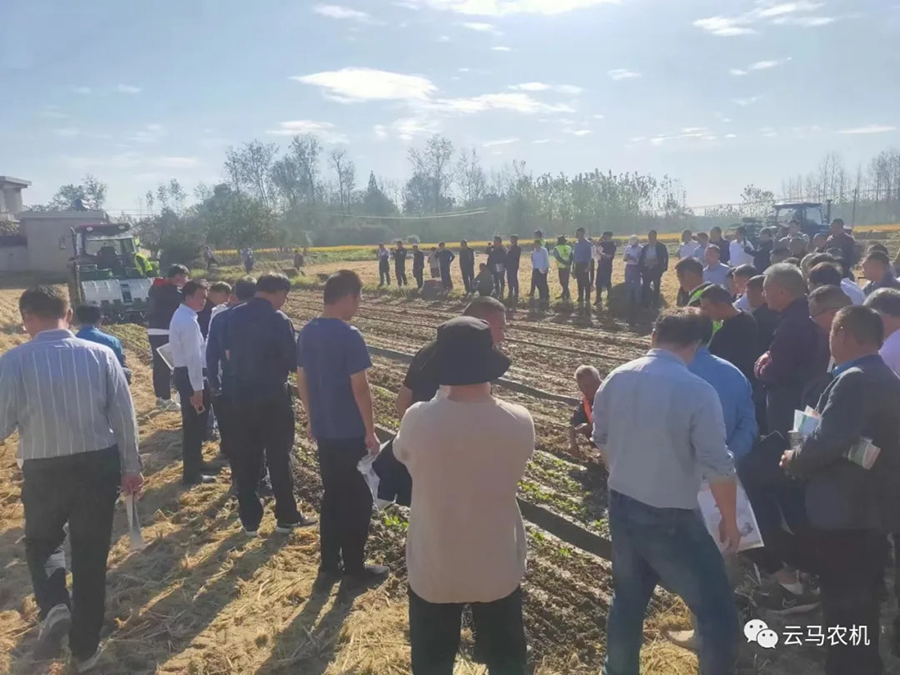 1718612137853920.jpg 13.jpg