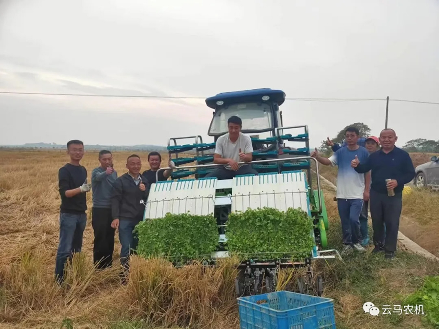 1718613286257817.jpg 3.jpg