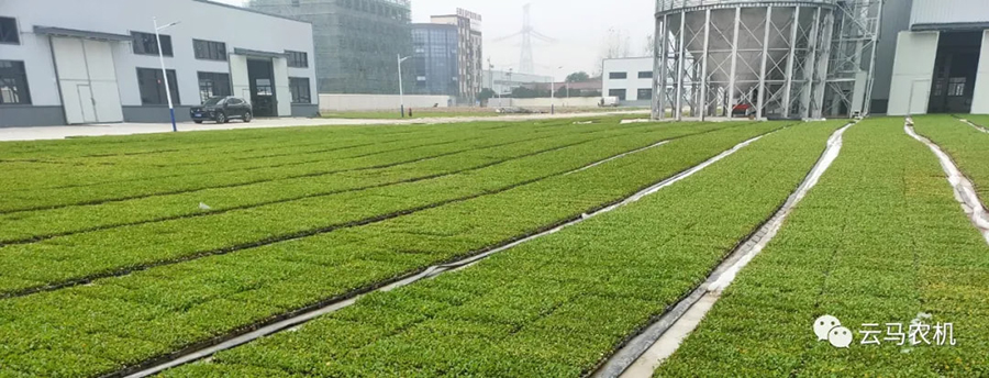 1718613319363167.jpg 7.jpg