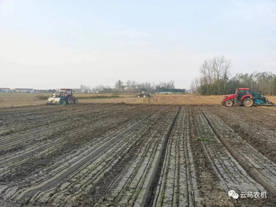 1718613354330553.jpg 11.jpg