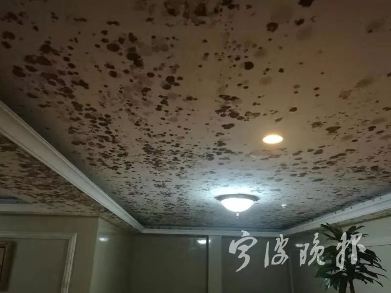 回南天氣梅雨季墻面受潮發(fā)霉用除濕機(jī)好嗎？
