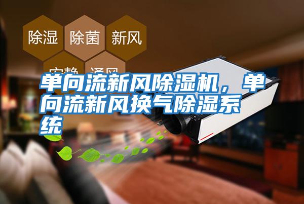 單向流新風除濕機，單向流新風換氣除濕系統(tǒng)