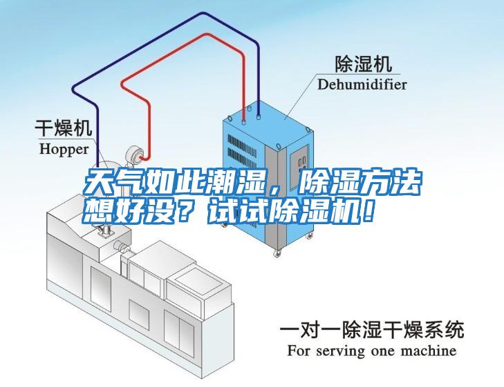 天氣如此潮濕，除濕方法想好沒？試試除濕機(jī)！