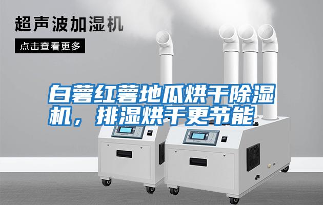 白薯紅薯地瓜烘干除濕機(jī)，排濕烘干更節(jié)能