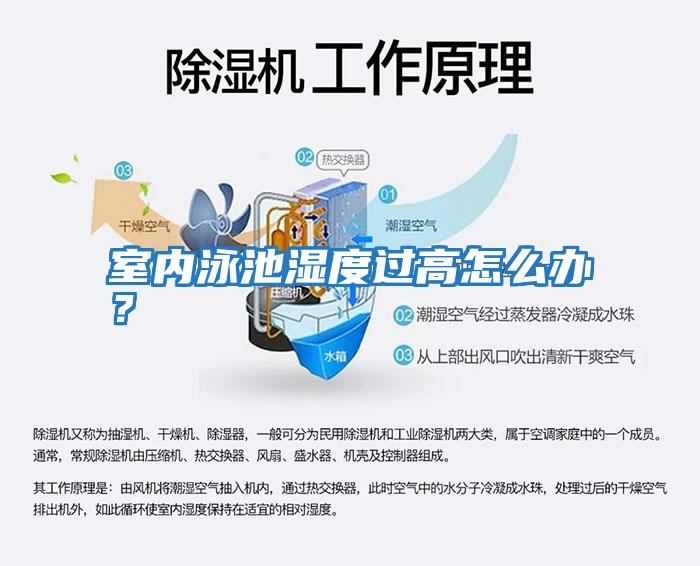 室內(nèi)泳池濕度過高怎么辦？