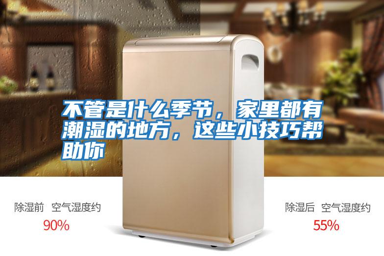 不管是什么季節，家里都有潮濕的地方，這些小技巧幫助你