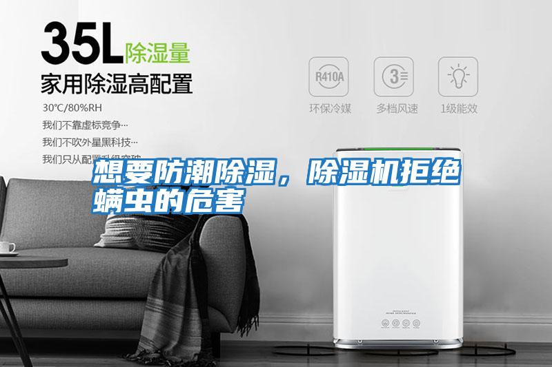 想要防潮除濕，除濕機拒絕螨蟲的危害