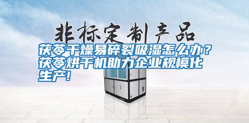 茯苓干燥易碎裂吸濕怎么辦？茯苓烘干機(jī)助力企業(yè)規(guī)模化生產(chǎn)!