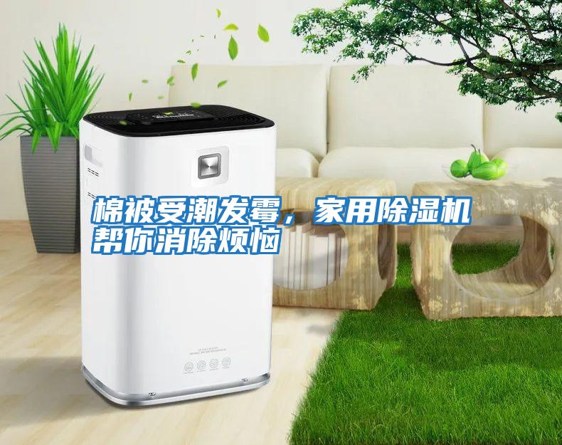 棉被受潮發霉，家用除濕機幫你消除煩惱