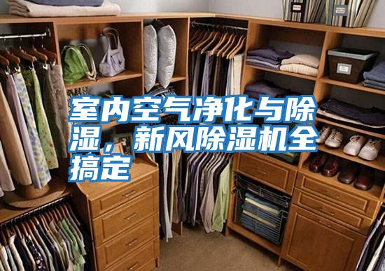 室內(nèi)空氣凈化與除濕，新風(fēng)除濕機全搞定