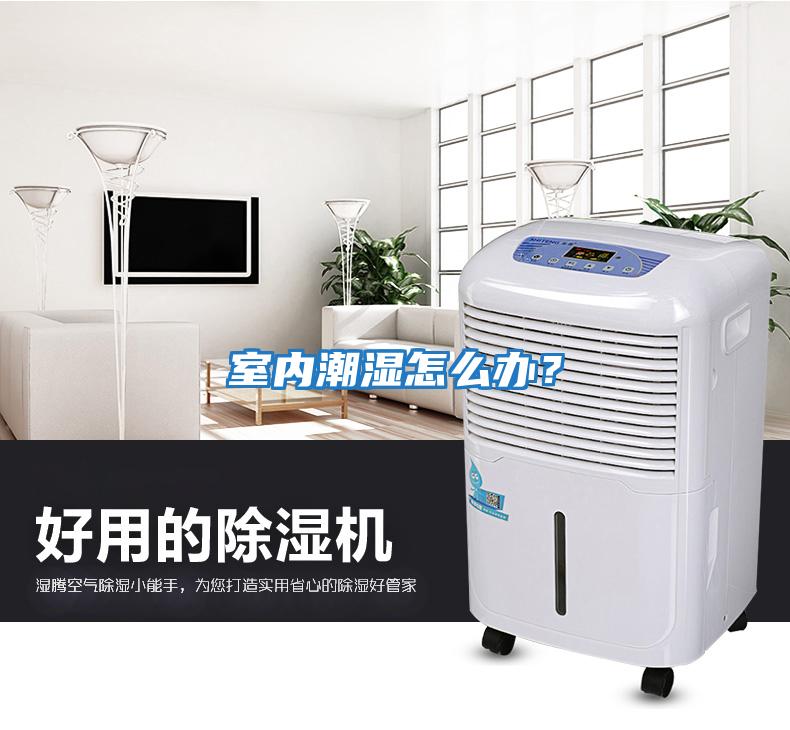 室內(nèi)潮濕怎么辦？