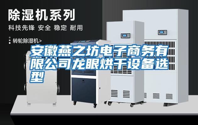 安徽燕之坊電子商務有限公司龍眼烘干設備選型