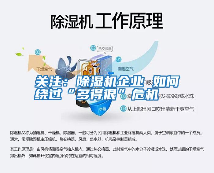關注：除濕機企業 如何繞過“多得很”危機