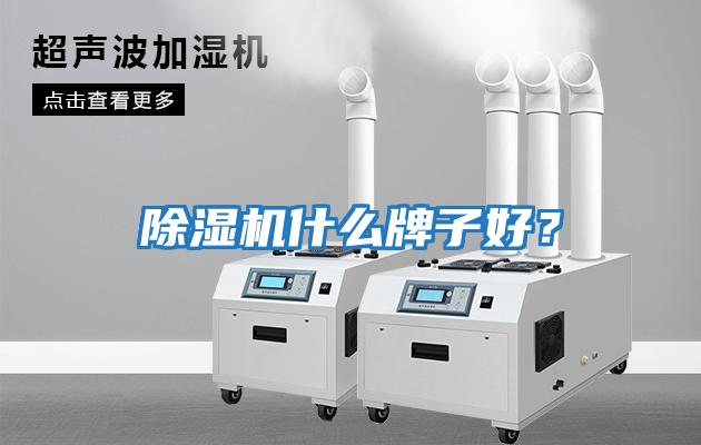 除濕機什么牌子好？