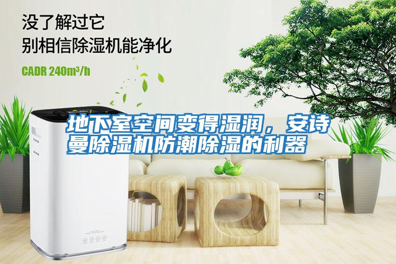 地下室空間變得濕潤，安詩曼除濕機防潮除濕的利器