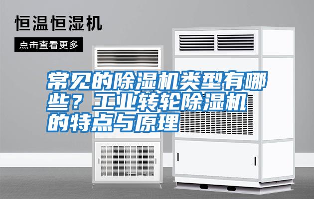 常見的除濕機類型有哪些？工業轉輪除濕機的特點與原理