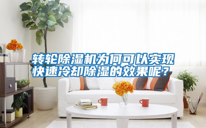 轉輪除濕機為何可以實現快速冷卻除濕的效果呢？