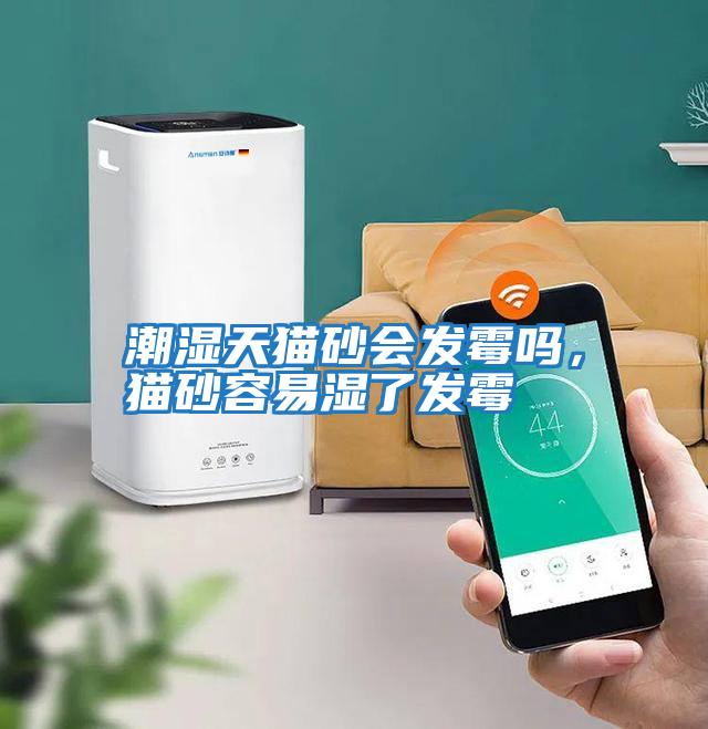 潮濕天貓砂會發(fā)霉嗎，貓砂容易濕了發(fā)霉