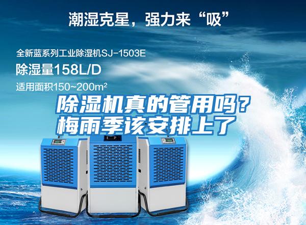 除濕機真的管用嗎？梅雨季該安排上了