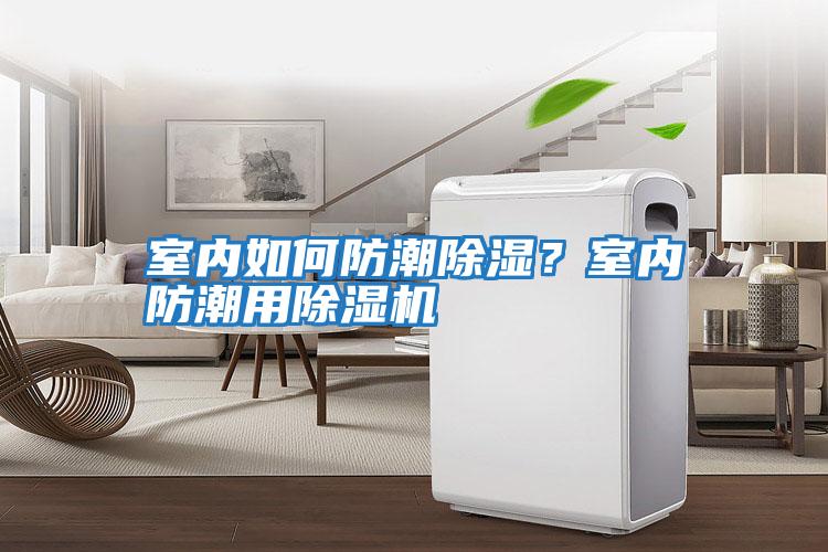 室內如何防潮除濕？室內防潮用除濕機