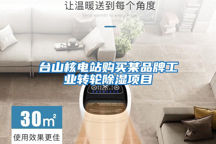 臺山核電站購買某品牌工業(yè)轉(zhuǎn)輪除濕項(xiàng)目