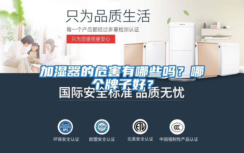 加濕器的危害有哪些嗎？哪個(gè)牌子好？