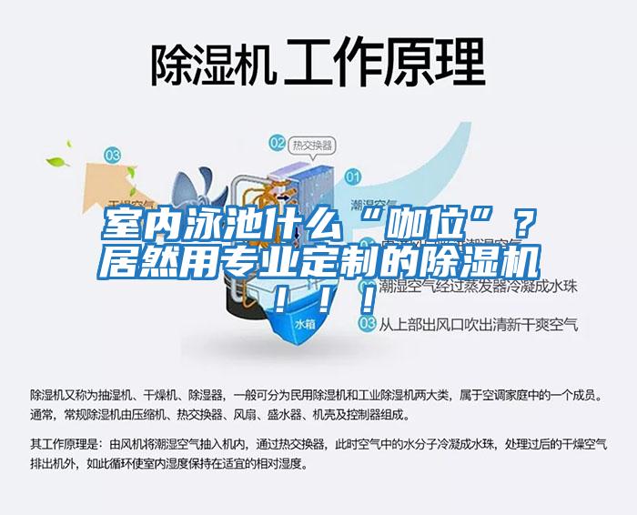 室內(nèi)泳池什么“咖位”？居然用專業(yè)定制的除濕機(jī)！！！