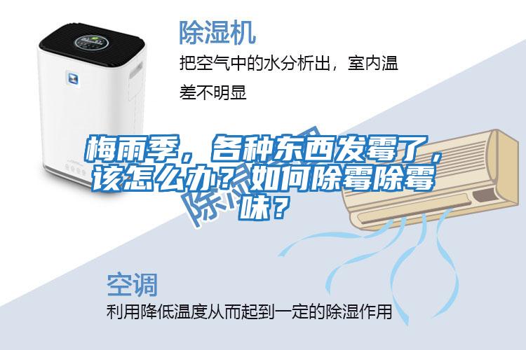 梅雨季，各種東西發霉了，該怎么辦？如何除霉除霉味？