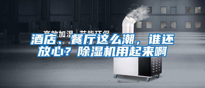酒店、餐廳這么潮，誰還放心？除濕機用起來啊