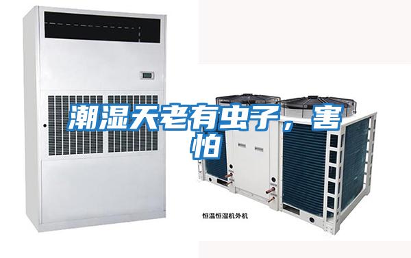 潮濕天老有蟲子，害怕