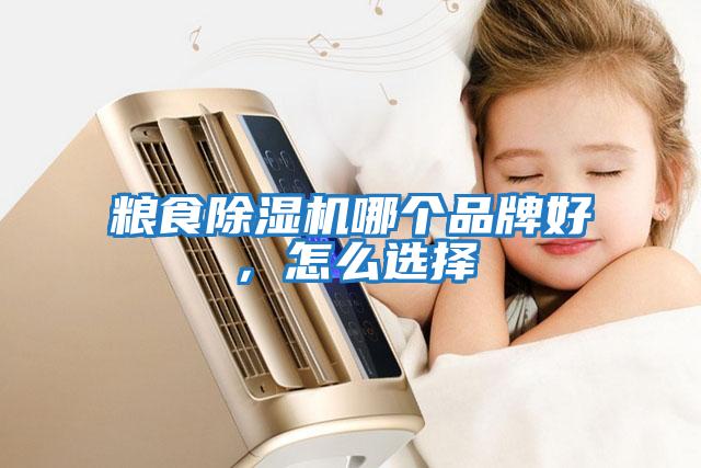 糧食除濕機(jī)哪個(gè)品牌好，怎么選擇
