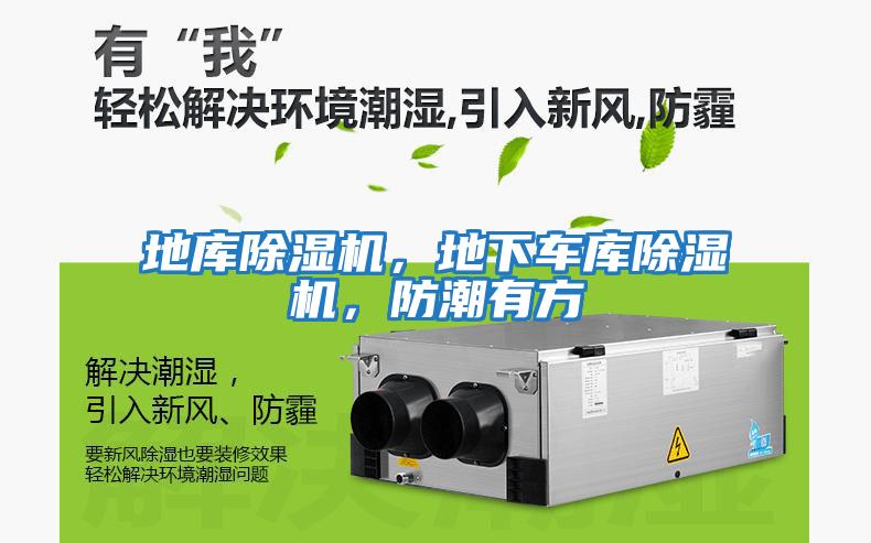 地庫除濕機，地下車庫除濕機，防潮有方