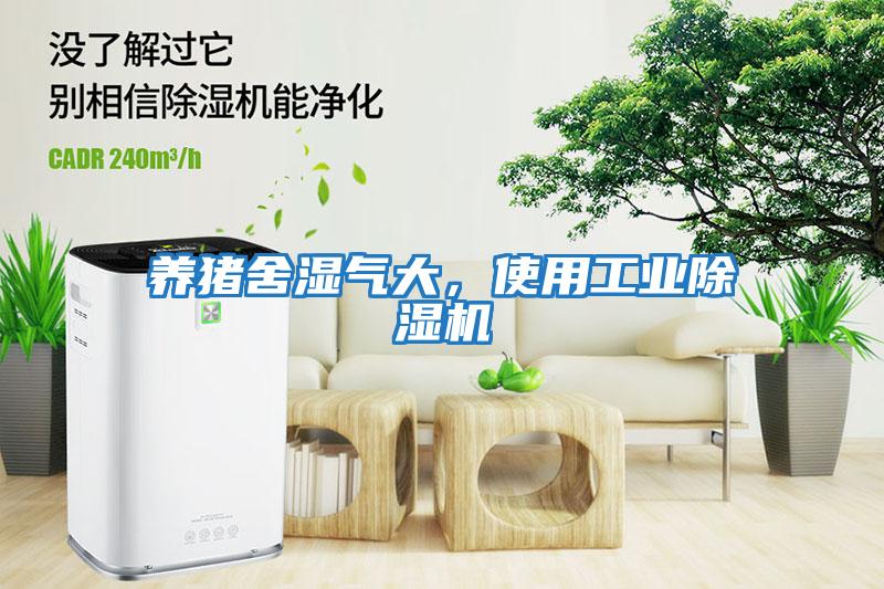 養豬舍濕氣大，使用工業除濕機