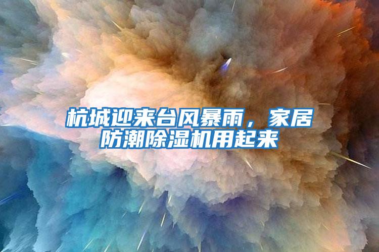 杭城迎來臺風暴雨，家居防潮除濕機用起來