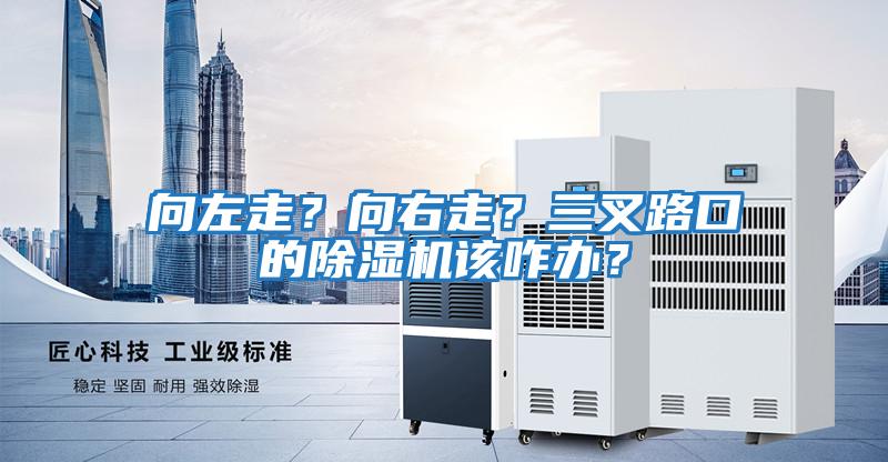 向左走？向右走？三叉路口的除濕機(jī)該咋辦？