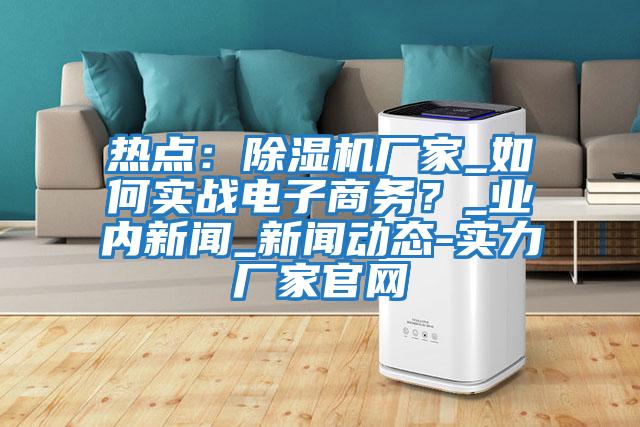 熱點：除濕機廠家_如何實戰電子商務？_業內新聞_新聞動態-實力廠家官網