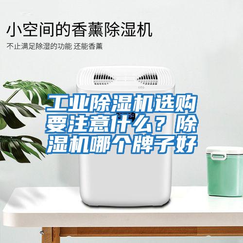 工業除濕機選購要注意什么？除濕機哪個牌子好