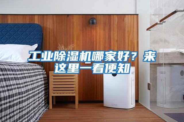 工業(yè)除濕機(jī)哪家好？來這里一看便知