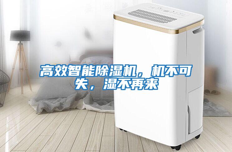 高效智能除濕機，機不可失，濕不再來