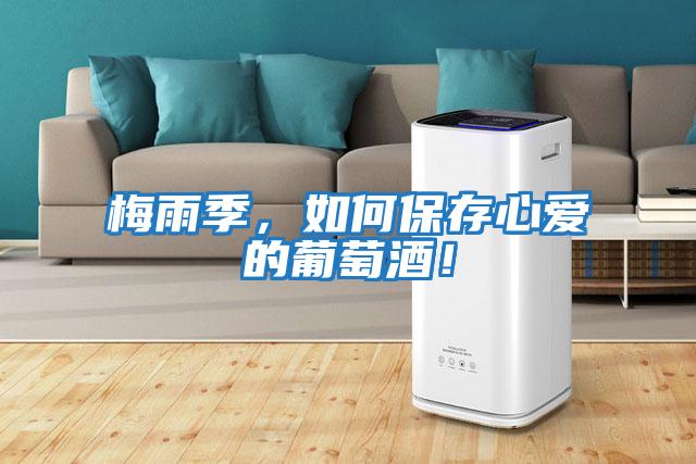梅雨季，如何保存心愛的葡萄酒！