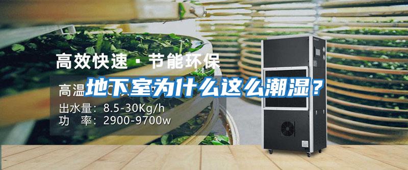 地下室為什么這么潮濕？