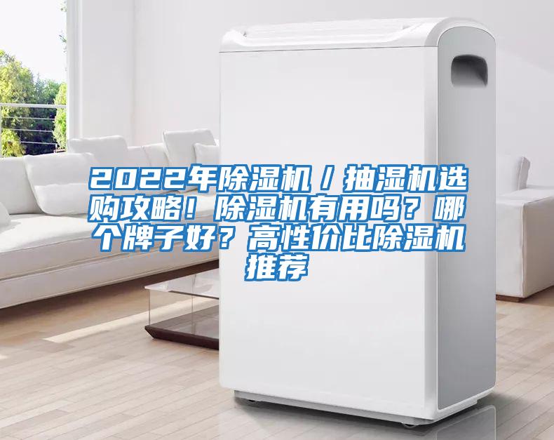 2022年除濕機／抽濕機選購攻略！除濕機有用嗎？哪個牌子好？高性價比除濕機推薦
