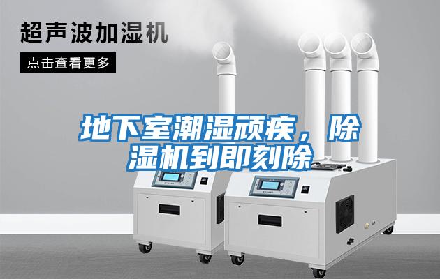 地下室潮濕頑疾，除濕機(jī)到即刻除