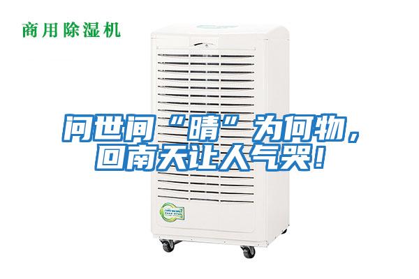 問世間“晴”為何物，回南天讓人氣哭！