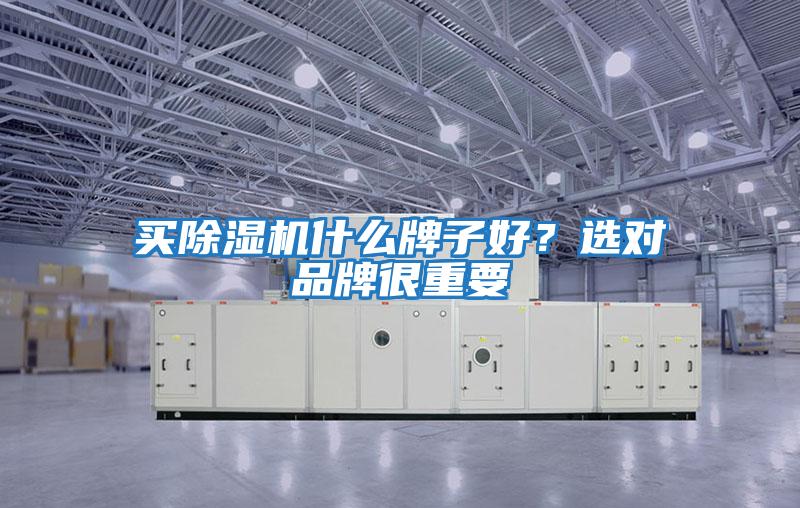 買除濕機什么牌子好？選對品牌很重要