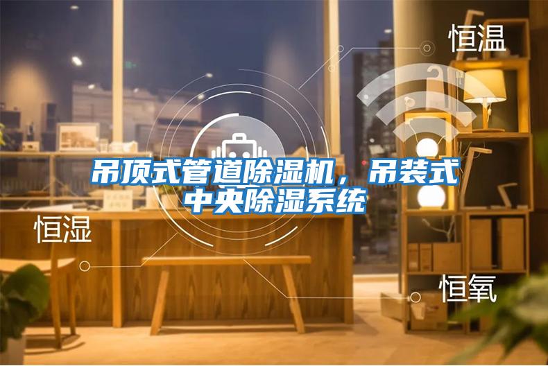吊頂式管道除濕機(jī)，吊裝式中央除濕系統(tǒng)