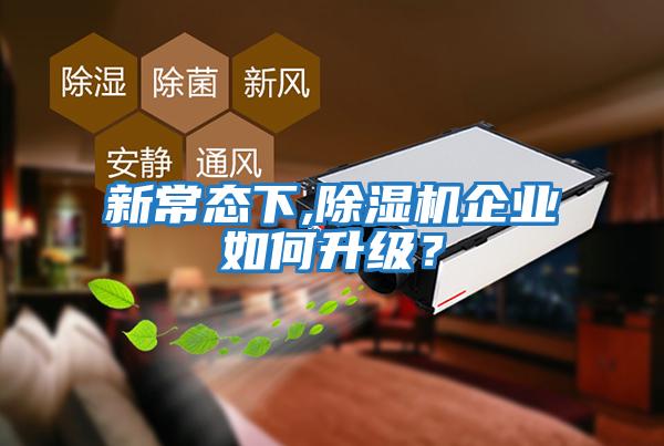 新常態下,除濕機企業如何升級？
